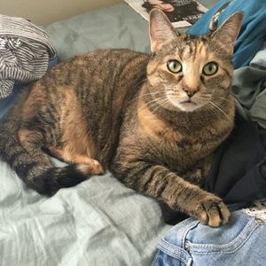 Meet your Posher, Jill